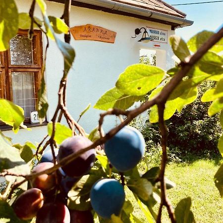 Ubytovanie U Aranky Cierna nad Tisou المظهر الخارجي الصورة